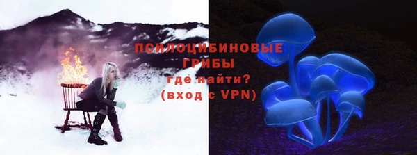 PSILOCYBIN Инсар