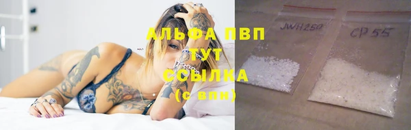 PSILOCYBIN Инсар