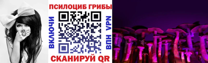 Псилоцибиновые грибы MAGIC MUSHROOMS  Купить закладки  Кондопога 